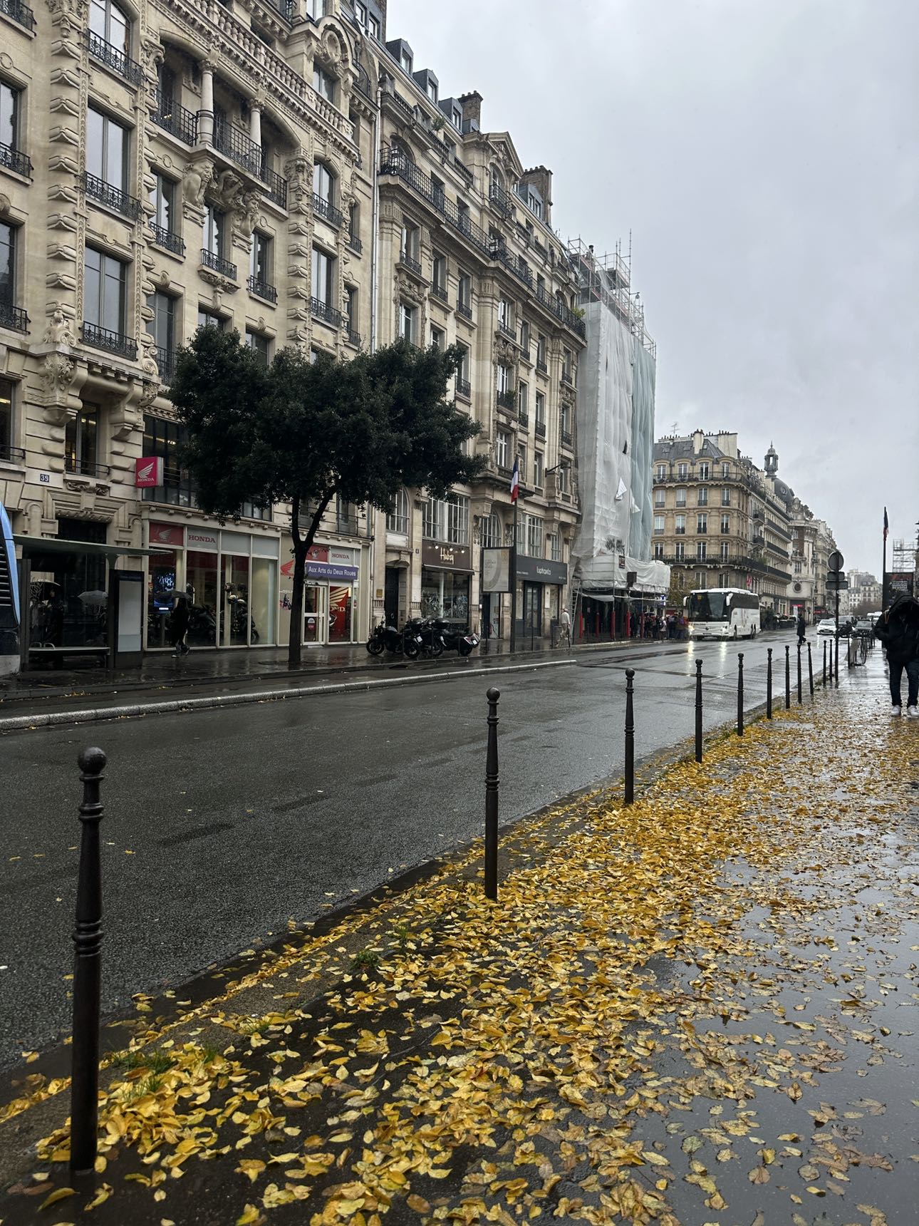 leonanaomii snapchat image archive image