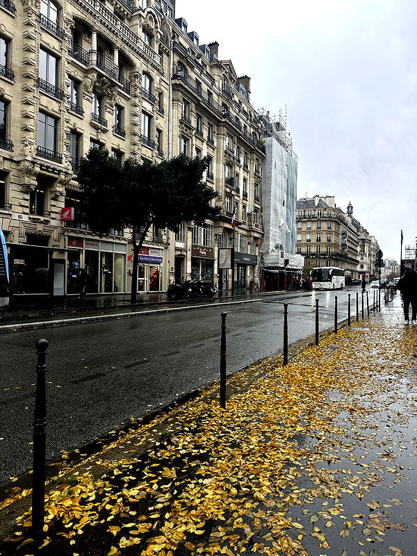 leonanaomii image ~ Altpins