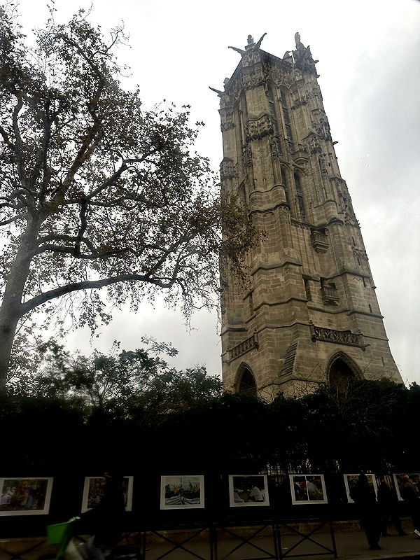 leonanaomii image ~ Altpins