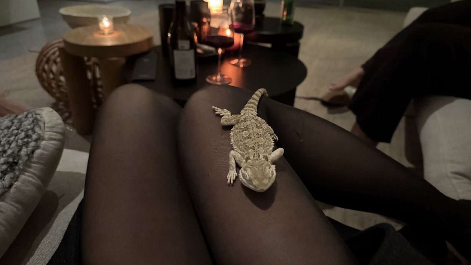 leonanaomii snapchat image archive image