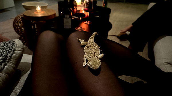 leonanaomii image ~ Altpins