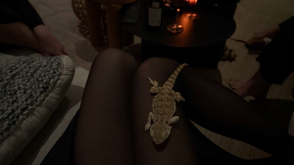 leonanaomii snapchat image archive image