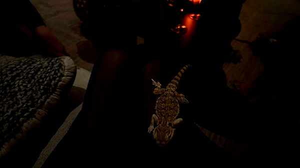 leonanaomii image ~ Altpins