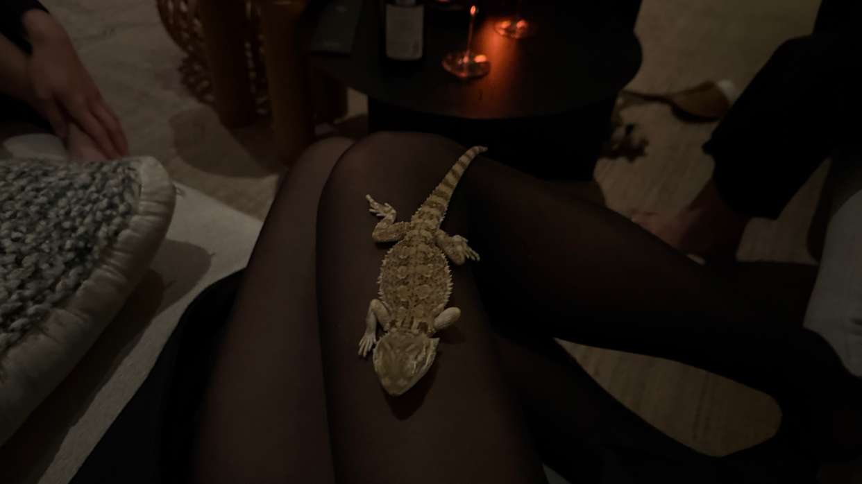 leonanaomii snapchat image archive image