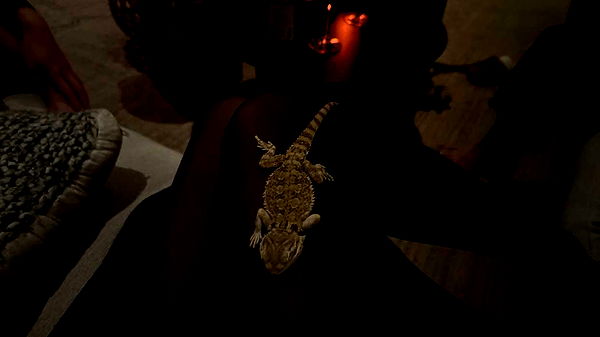 leonanaomii image ~ Altpins