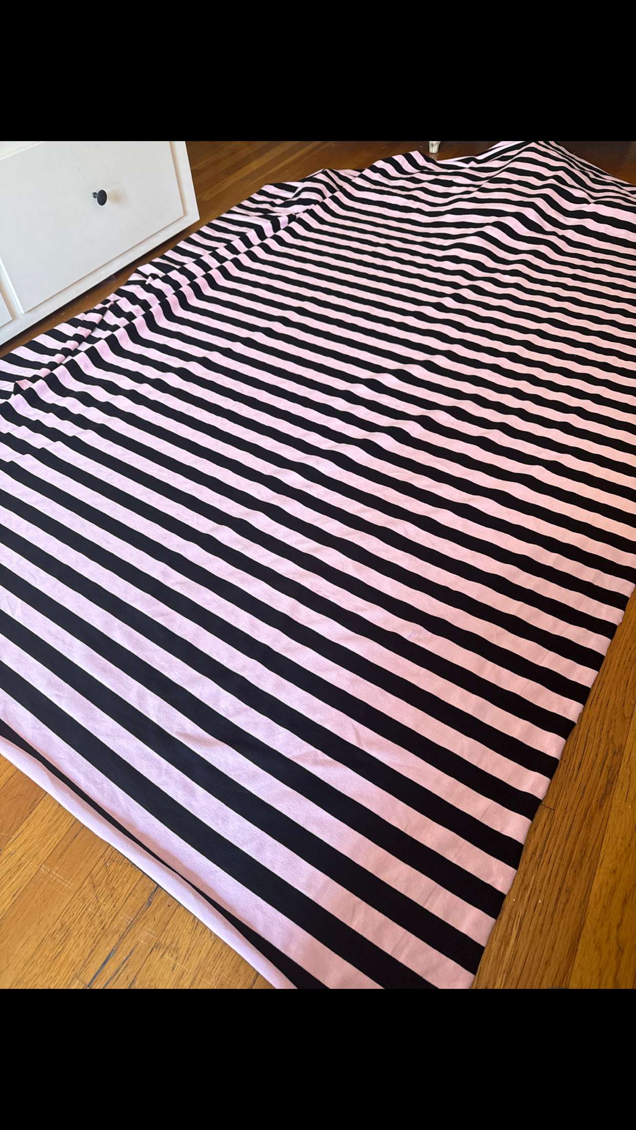 leonanaomii snapchat image archive image