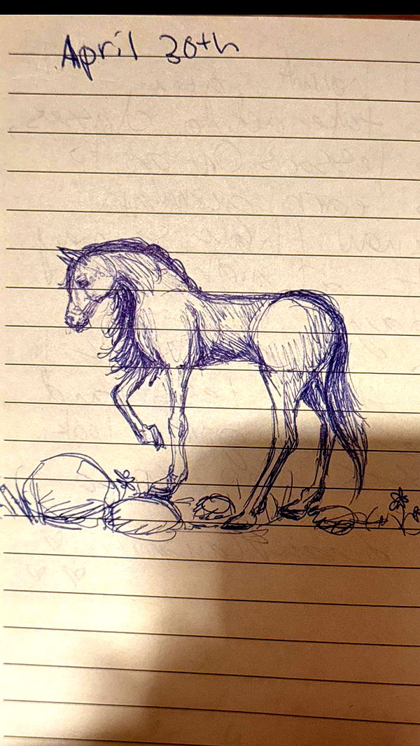 leonanaomii image ~ Altpins