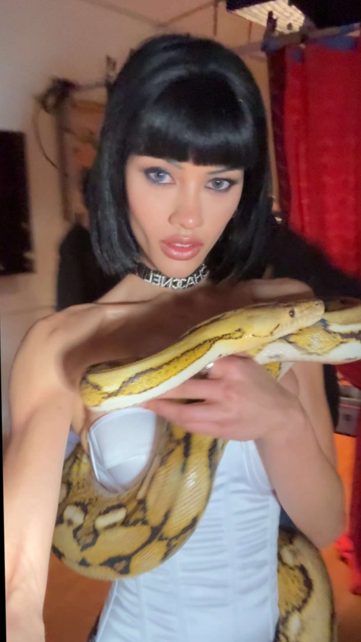 leonanaomii snapchat image archive image