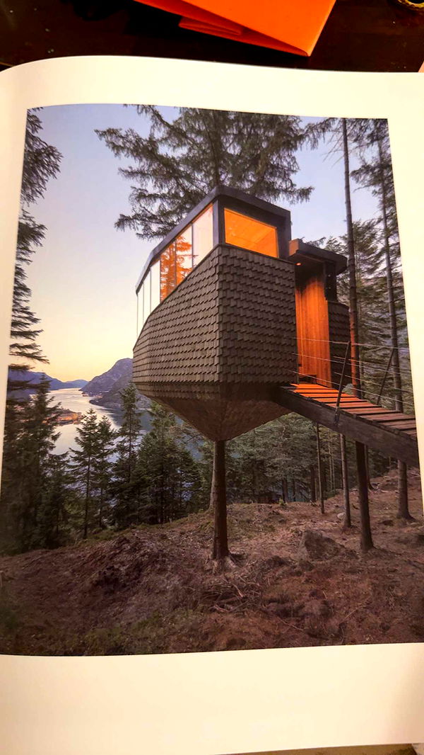 leonanaomii image ~ Altpins