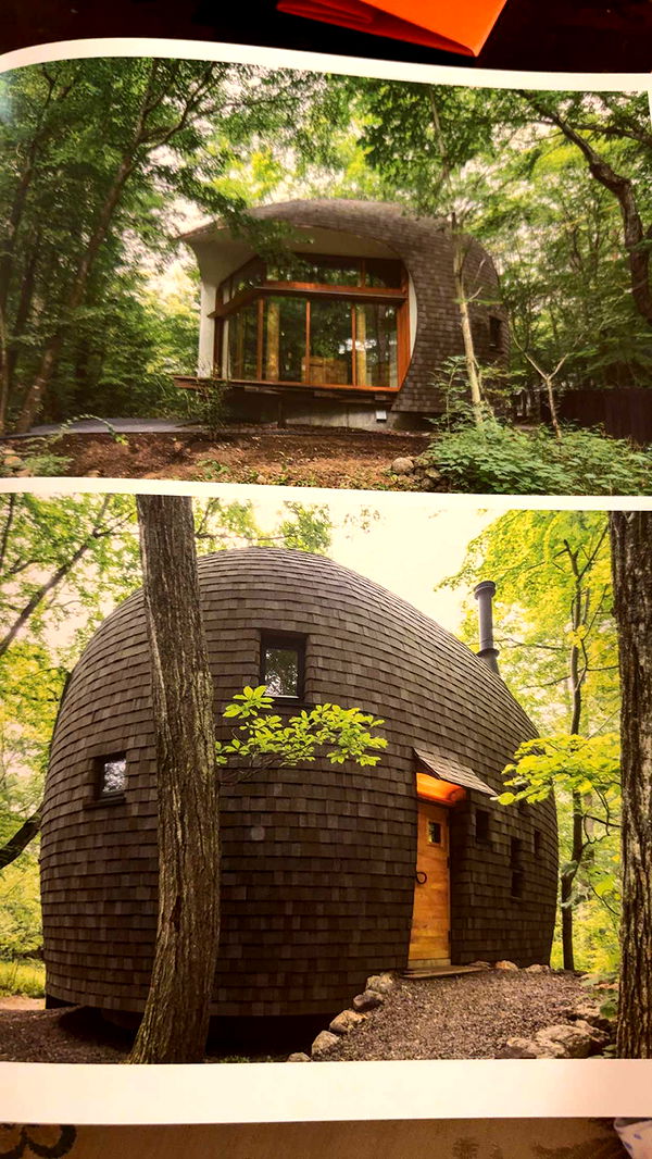 leonanaomii image ~ Altpins