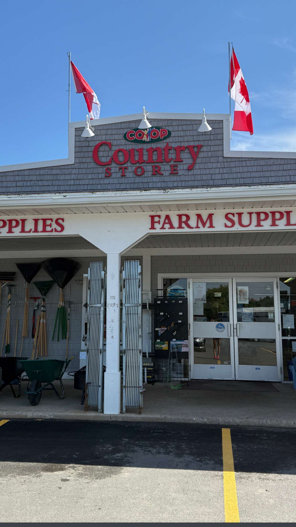 leonanaomii snapchat image archive image