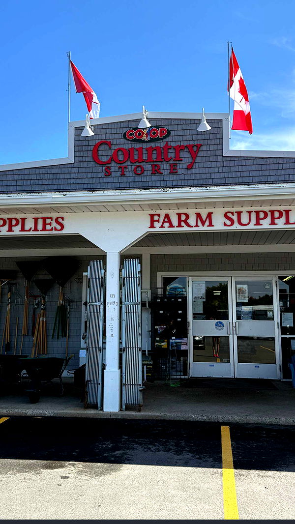 leonanaomii image ~ Altpins