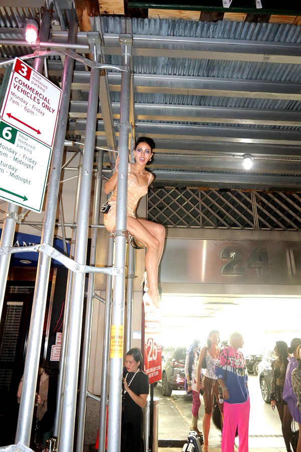 leonanaomii image ~ Altpins