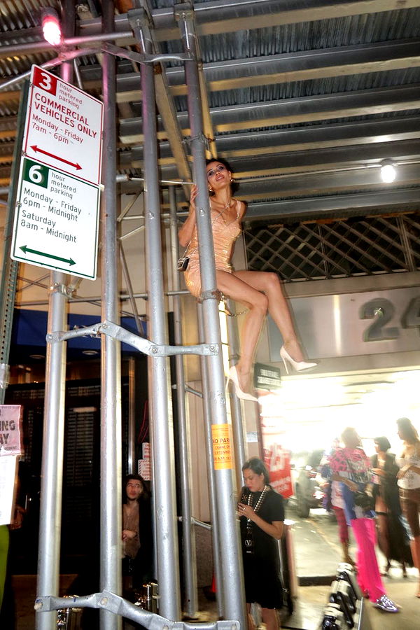 leonanaomii image ~ Altpins