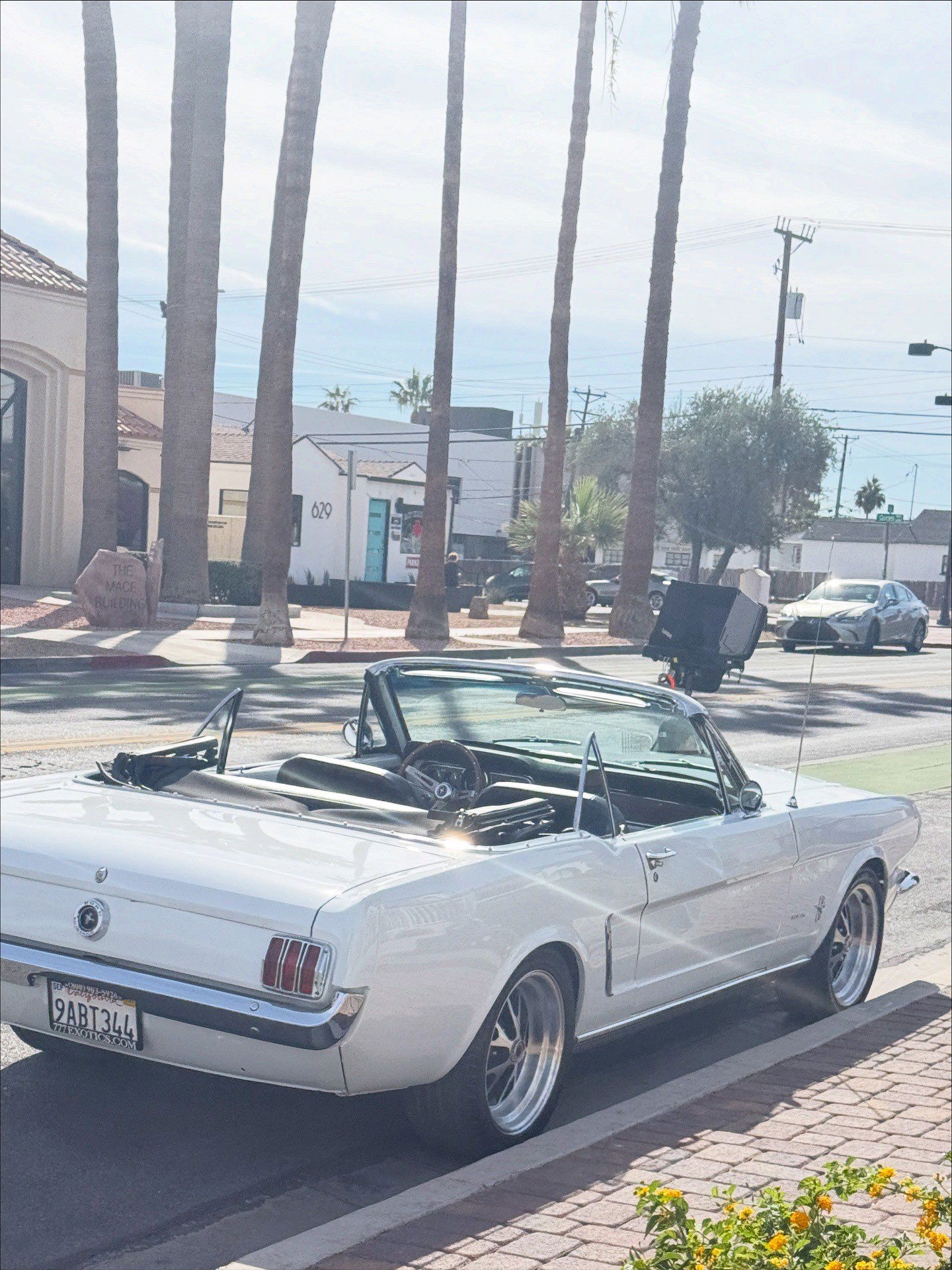 leonanaomii snapchat image archive image