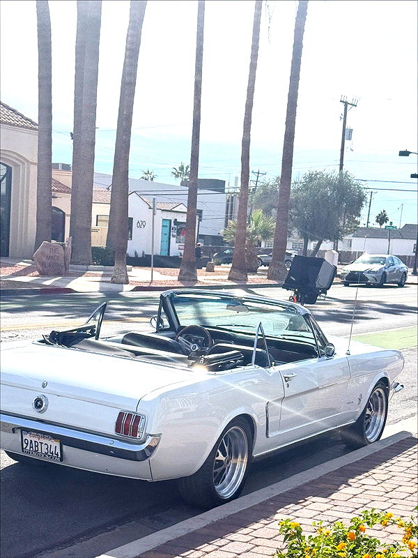 leonanaomii image ~ Altpins