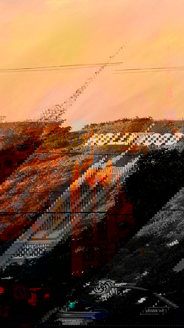 leonanaomii image ~ Altpins