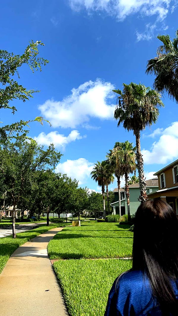 lew12001 image ~ Altpins