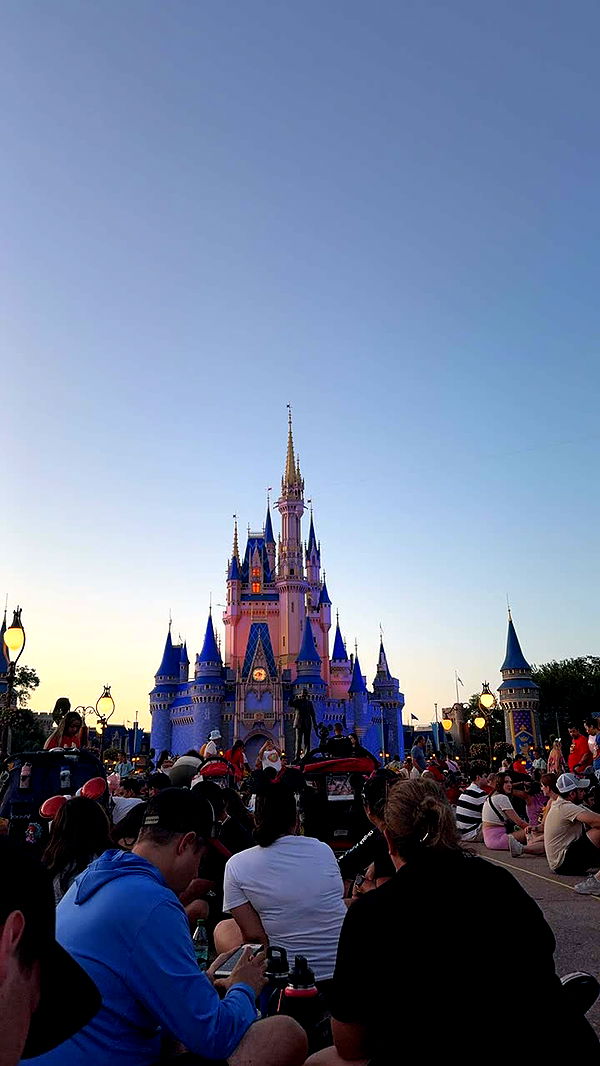 lew12001 image ~ Altpins