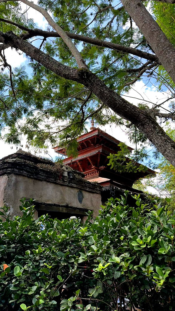 lew12001 image ~ Altpins