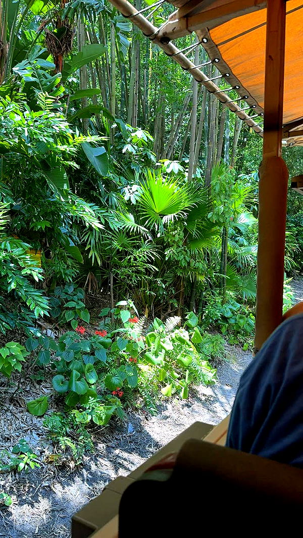 lew12001 image ~ Altpins