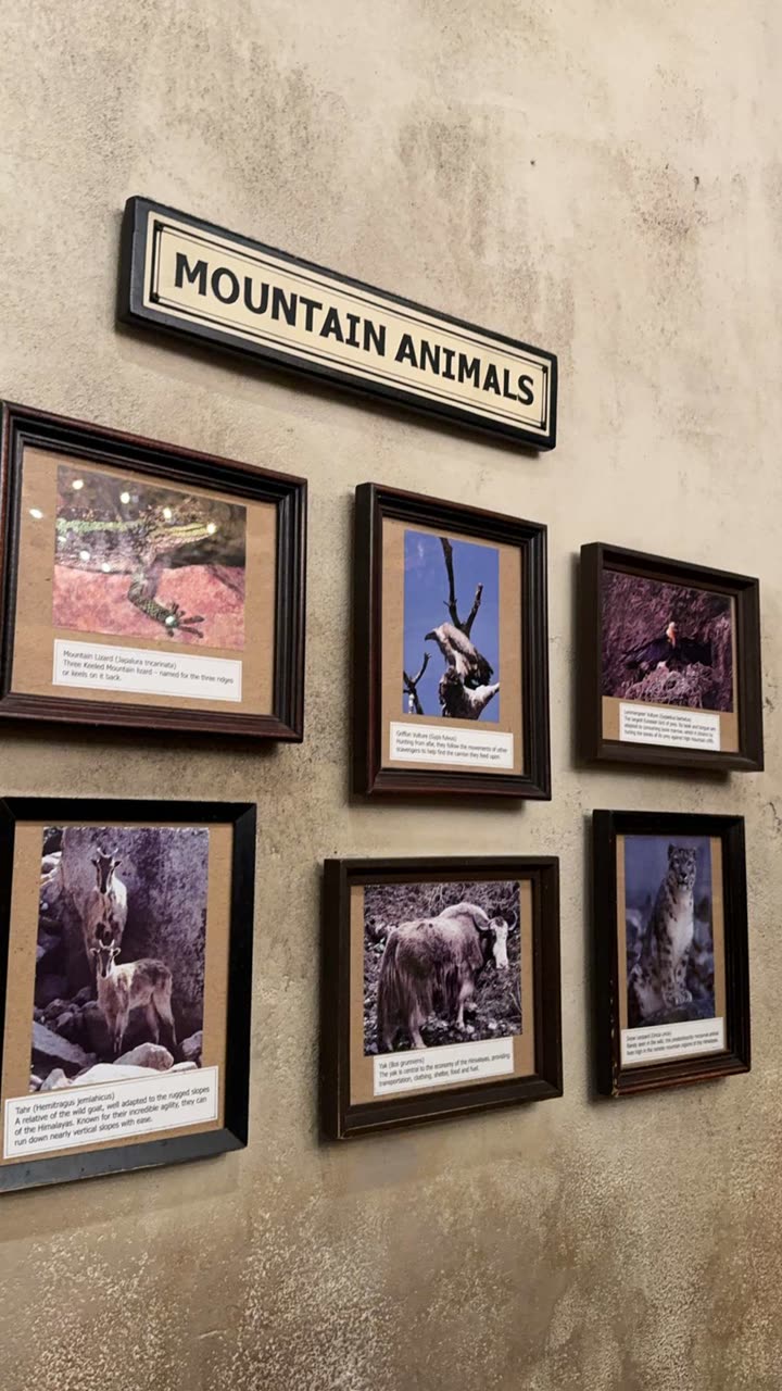 lew12001 snapchat image archive image