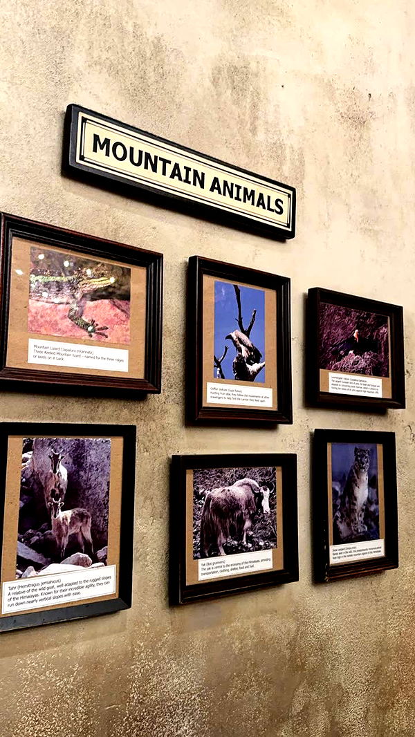 lew12001 image ~ Altpins