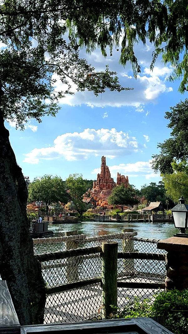 lew12001 image ~ Altpins