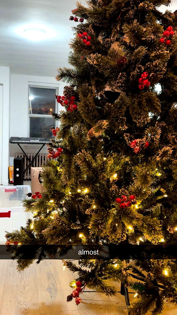 lew12001 image ~ Altpins