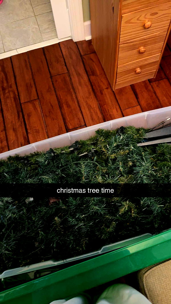 lew12001 image ~ Altpins