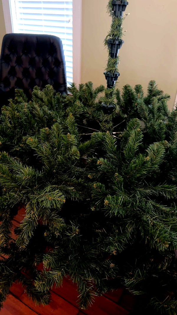 lew12001 image ~ Altpins