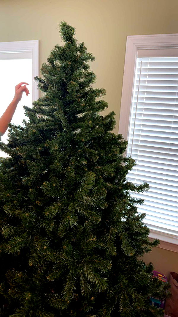 lew12001 image ~ Altpins