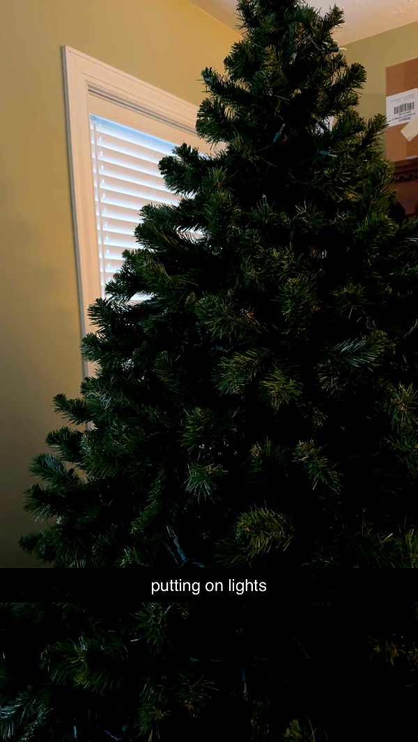 lew12001 image ~ Altpins