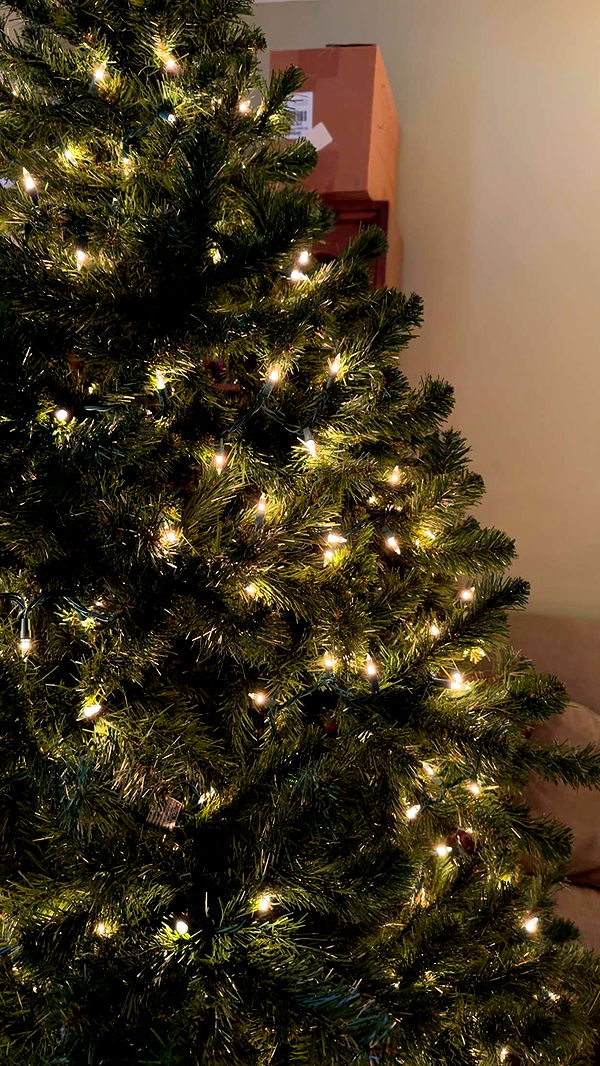 lew12001 image ~ Altpins