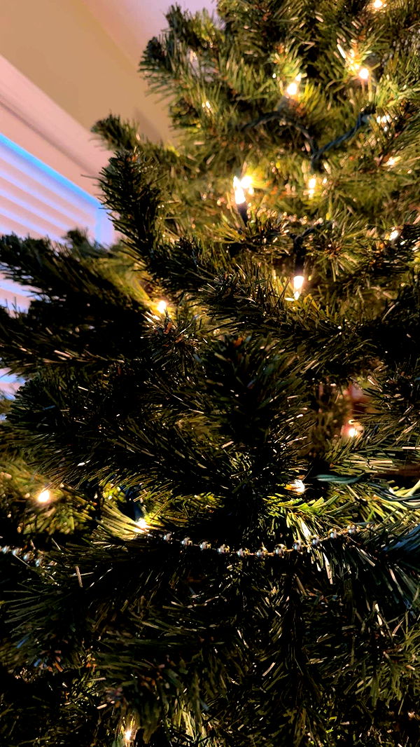 lew12001 image ~ Altpins