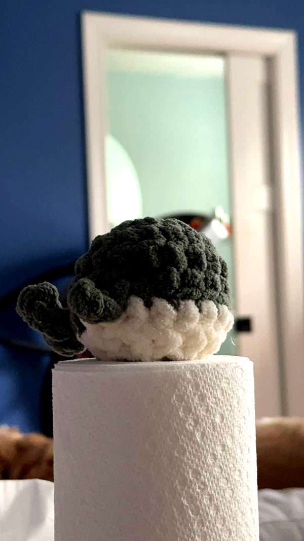 lew12001 image ~ Altpins