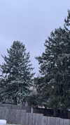 lew12001 Altpins Profile Picture