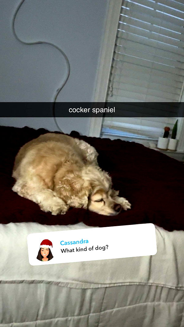 lew12001 snapchat image archive image