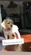 lew12001 Altpins Profile Picture
