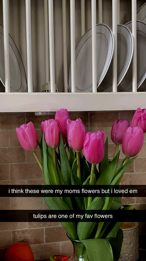 lew12001 snapchat image archive image