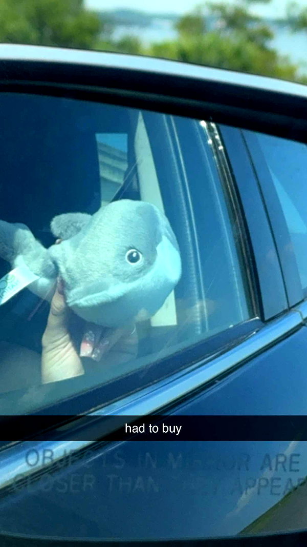 lew12001 snapchat image archive image