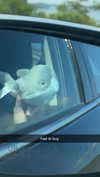 lew12001 Altpins Profile Picture