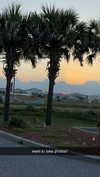 lew12001 Altpins Profile Picture