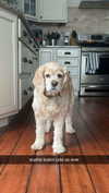 lew12001 Altpins Profile Picture