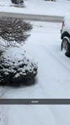 lew12001 Altpins Profile Picture