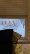 lew12001 Altpins Profile Picture