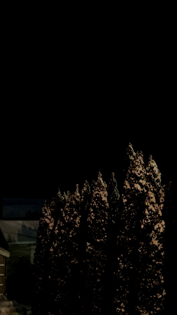 lew12001 snapchat image archive image