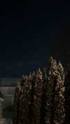 lew12001 Altpins Profile Picture