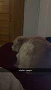 lew12001 Altpins Profile Picture