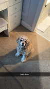 lew12001 Altpins Profile Picture